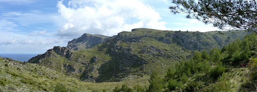 Barranc del torrent de s'Aigua Dolça per on puja el camí a l'ermita